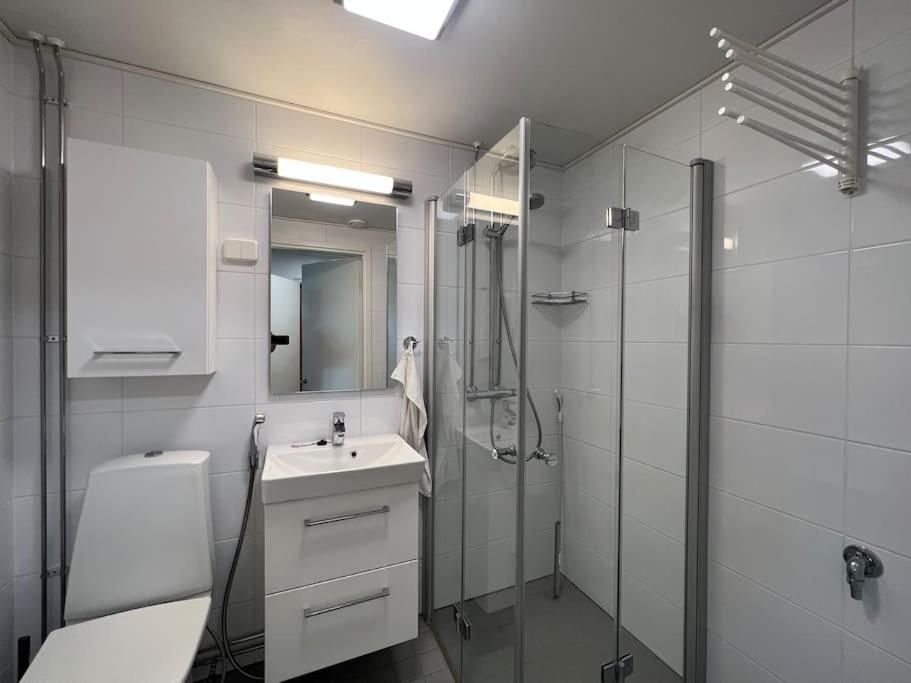 Studiohuoneisto Liisankatu Лапеенранта Екстериор снимка